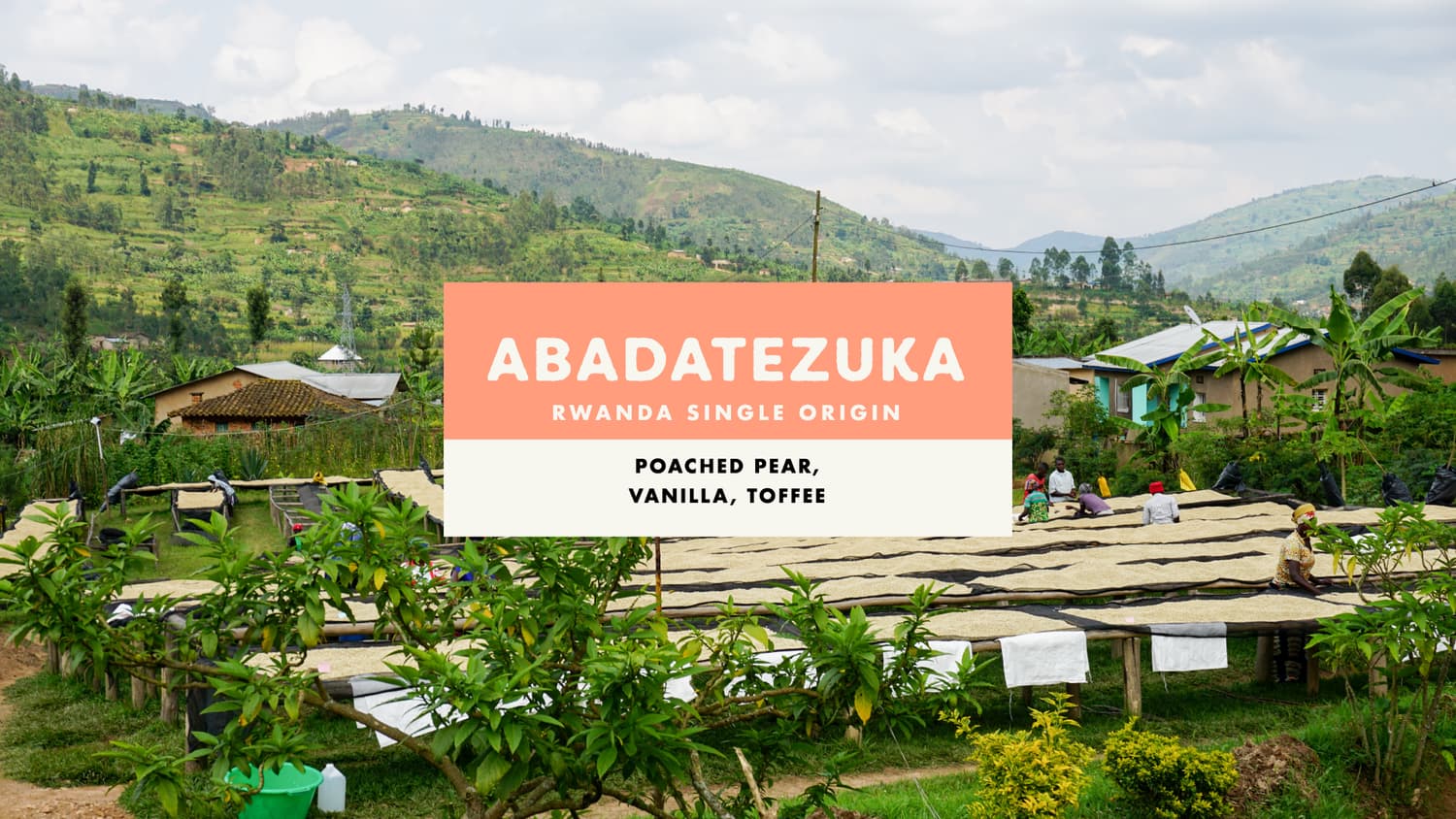 Abadatezuka Rwandan Washed Coffee