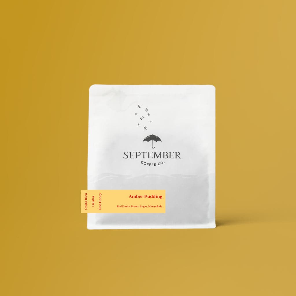 Amber Pudding - Red Honey Geisha