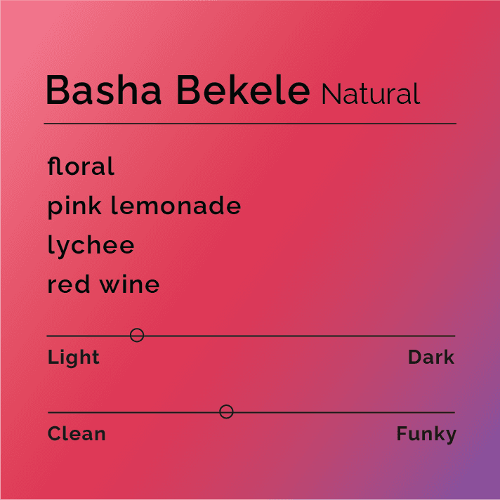 Basha Bekele Natural