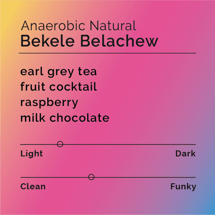Bekele Belachew Anaerobic Natural
