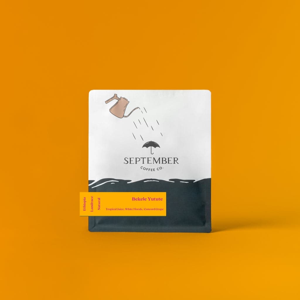 Bekele Yutute - Natural JARC 74158