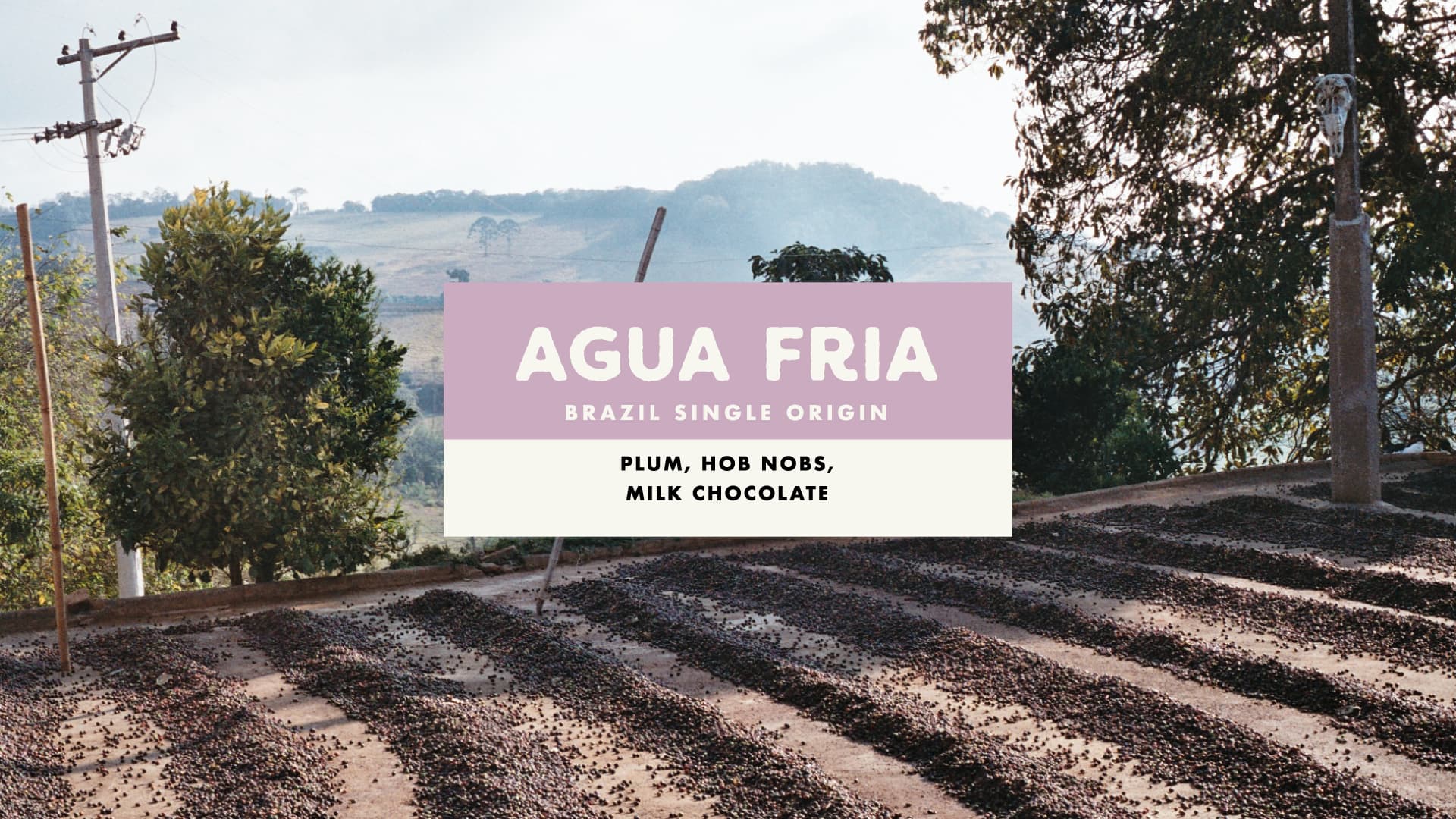 Brazil Agua Fria Pulped Natural Single Origin Coffee