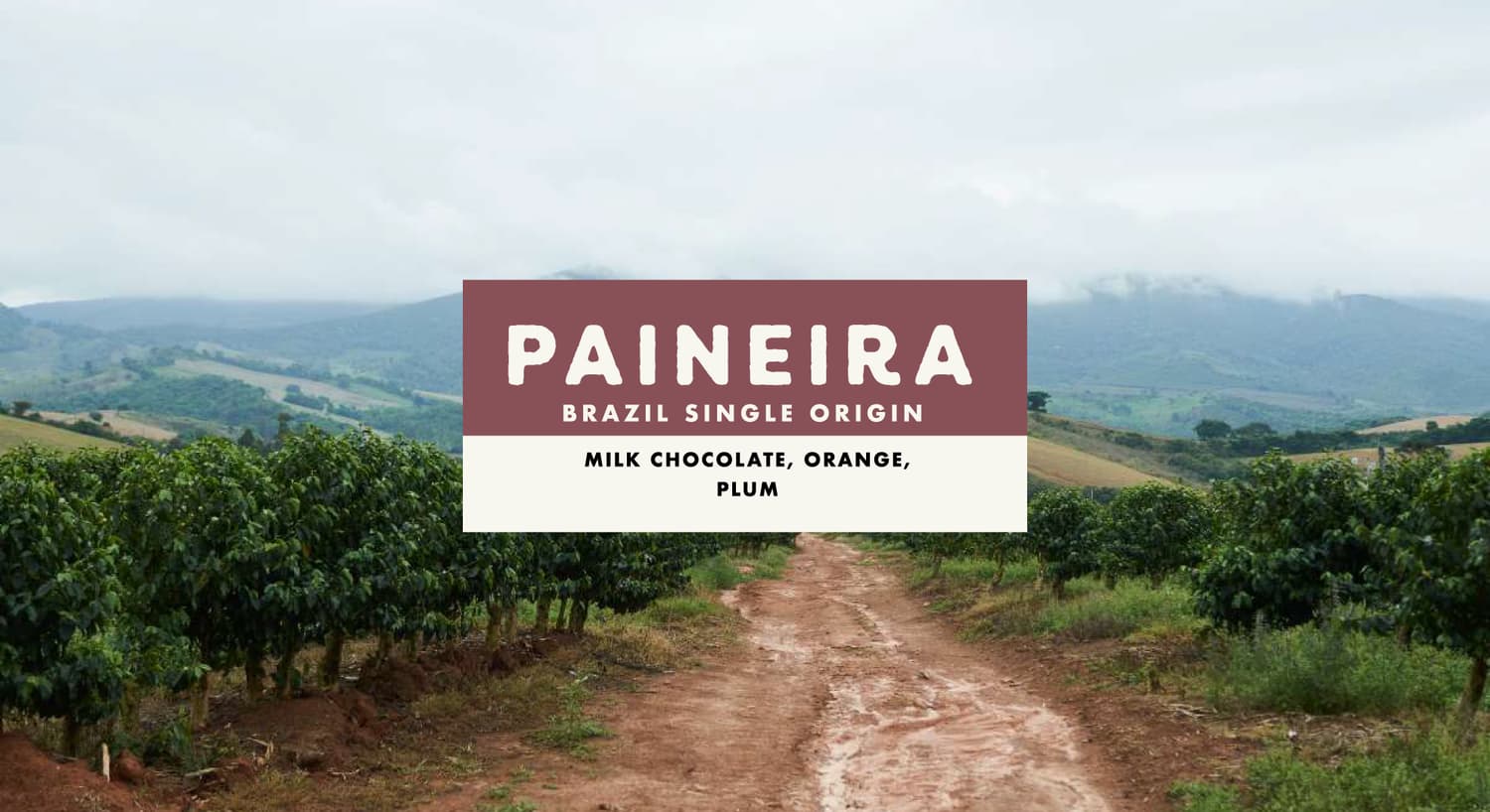 Brazil Paineira Pulped Natural Single Origin Coffee