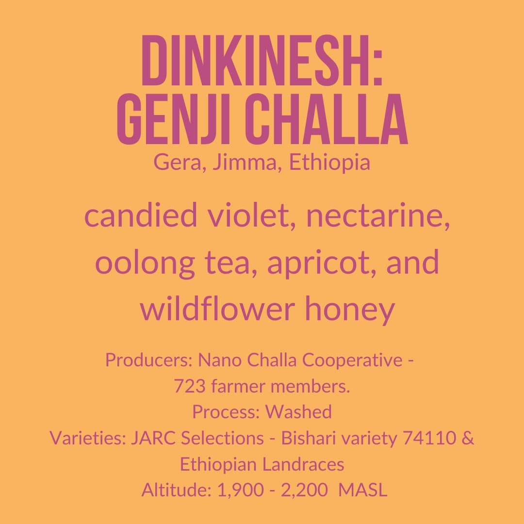 Dinkinesh: Genji Challa