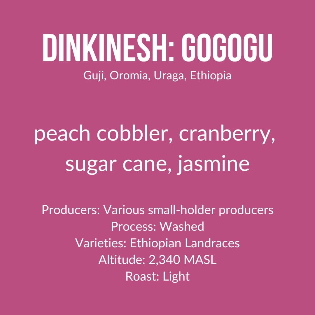 Dinkinesh: Gogogu, Ethiopia