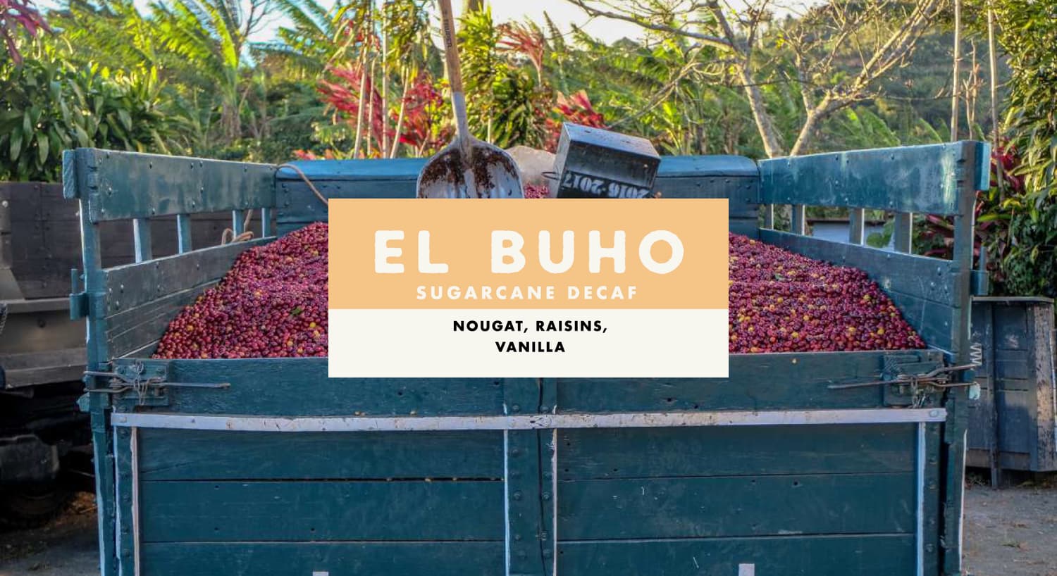 El Buho Sugarcane Process Colombian Decaf