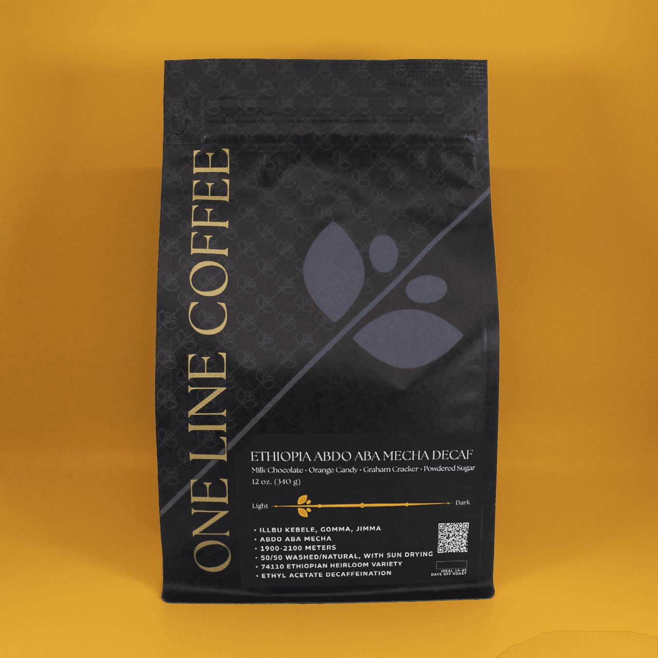 Ethiopia Abdo Aba Mecha