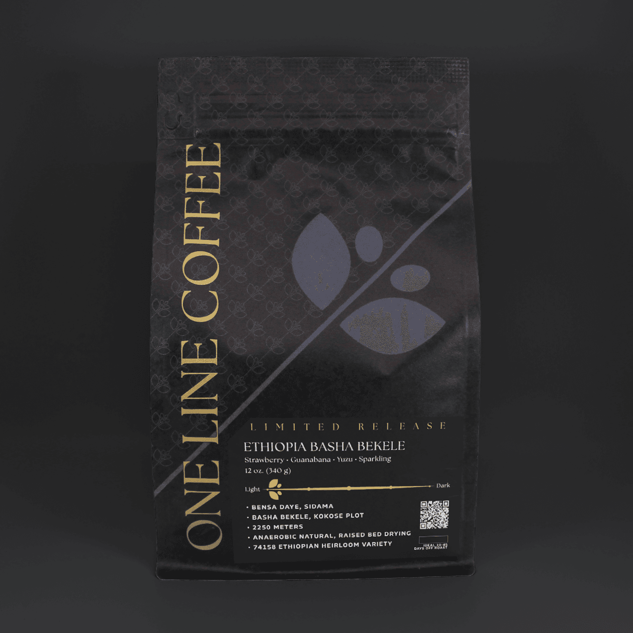 Ethiopia Basha Bekele