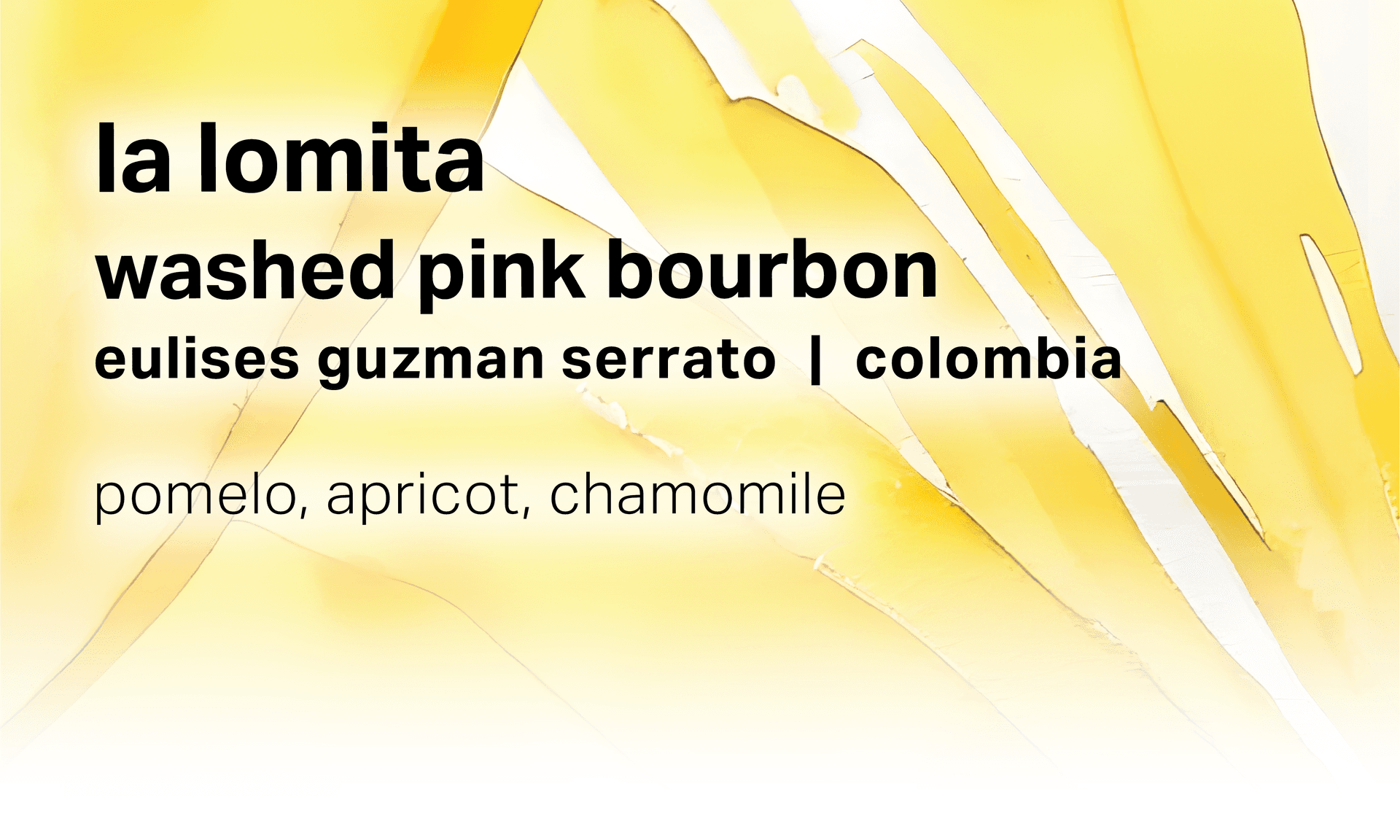 Eulises Guzman Serrato La Lomita - Washed Pink Bourbon - Colombia