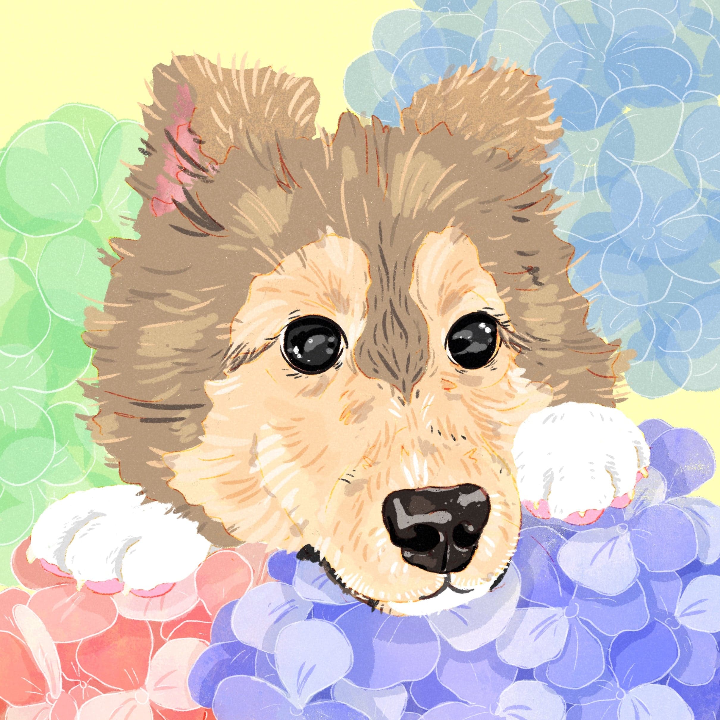 Gesha - Honey 843 NHF - Finca Nuguo