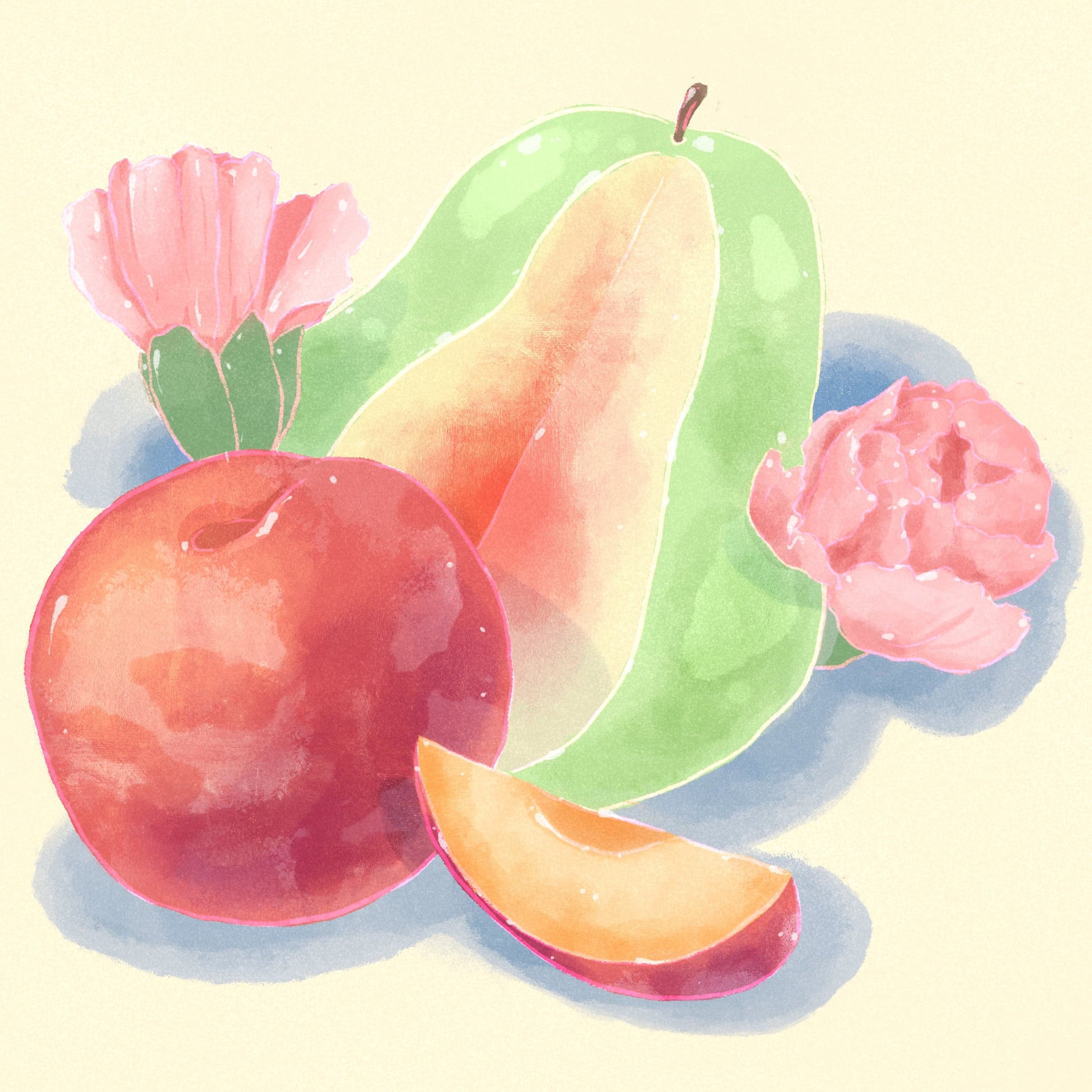 Gesha - Natural - Finca Inmaculada, Fellow Farms Project