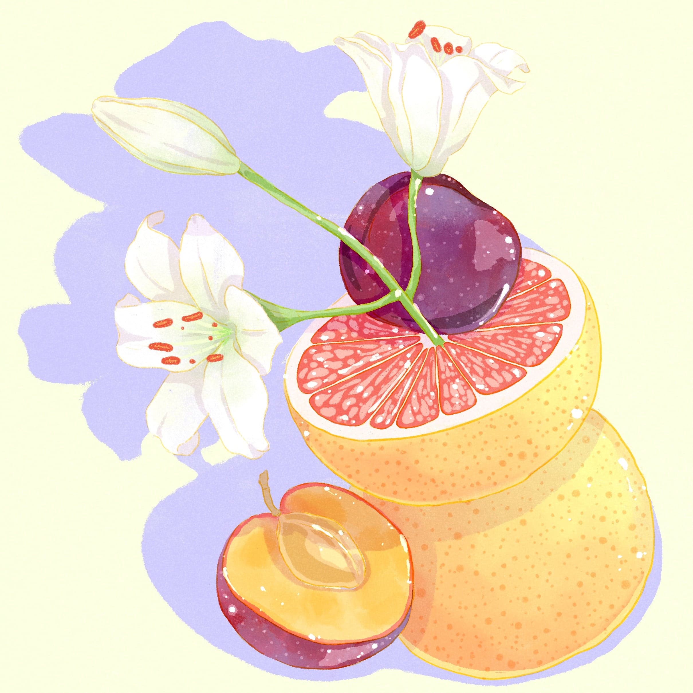 Gesha - Natural ASD T2D - Elida Estate, Lot Plano