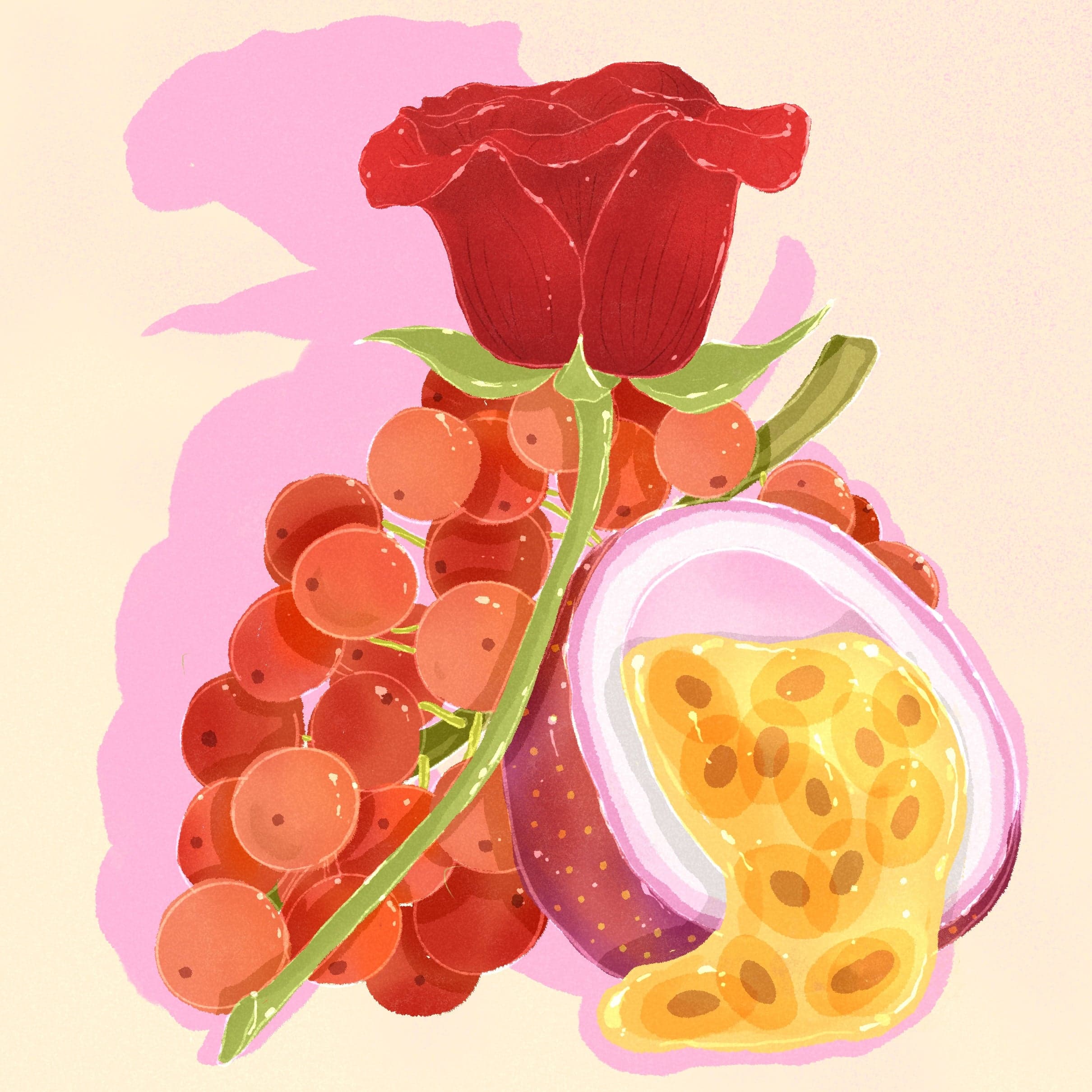 Gesha - Natural El Velo - Hacienda La Esmeralda