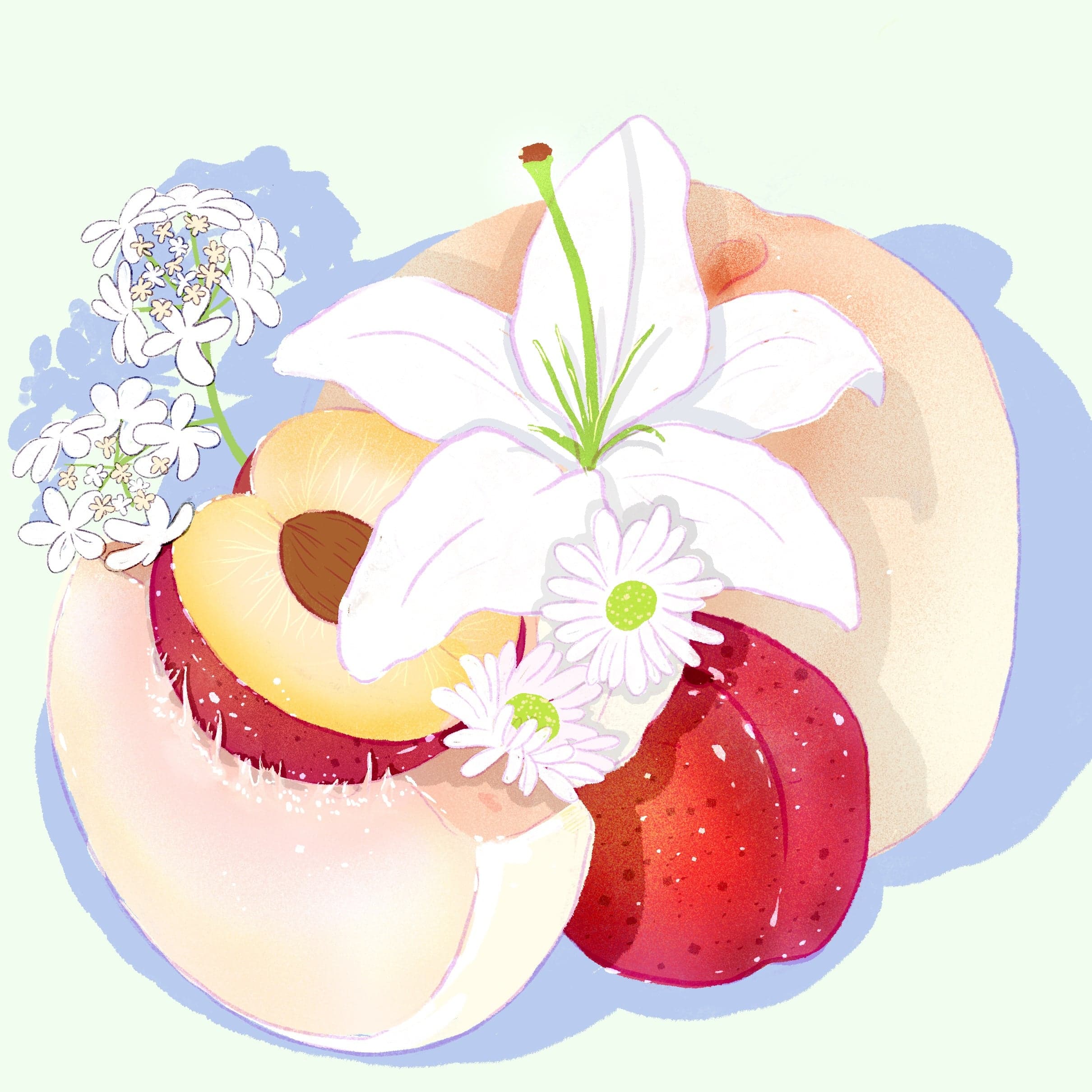 Gesha - Washed - Carmen Lot 8 (Ultralight)