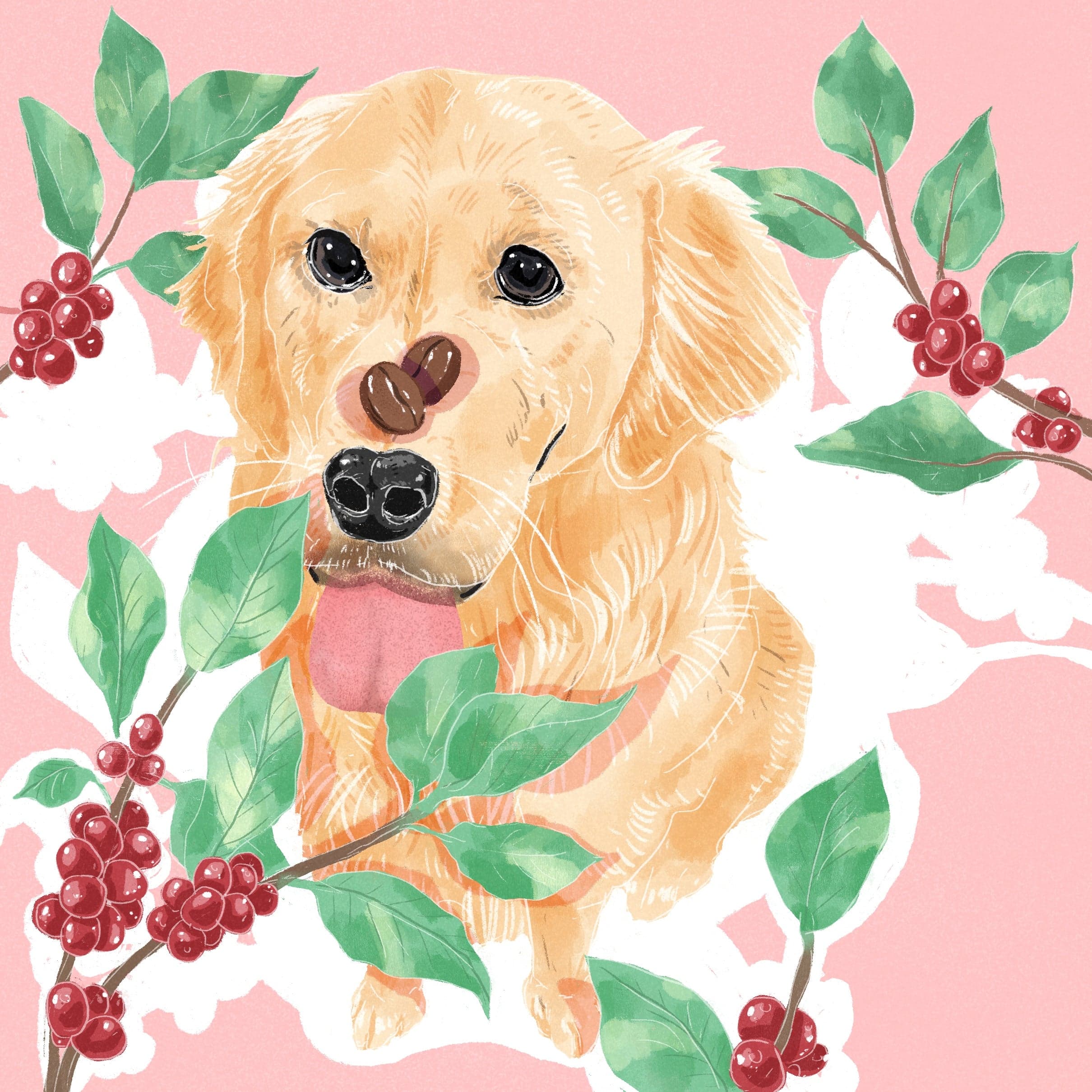 Gesha - Washed - Hacienda La Esmeralda, Nido 9 FB