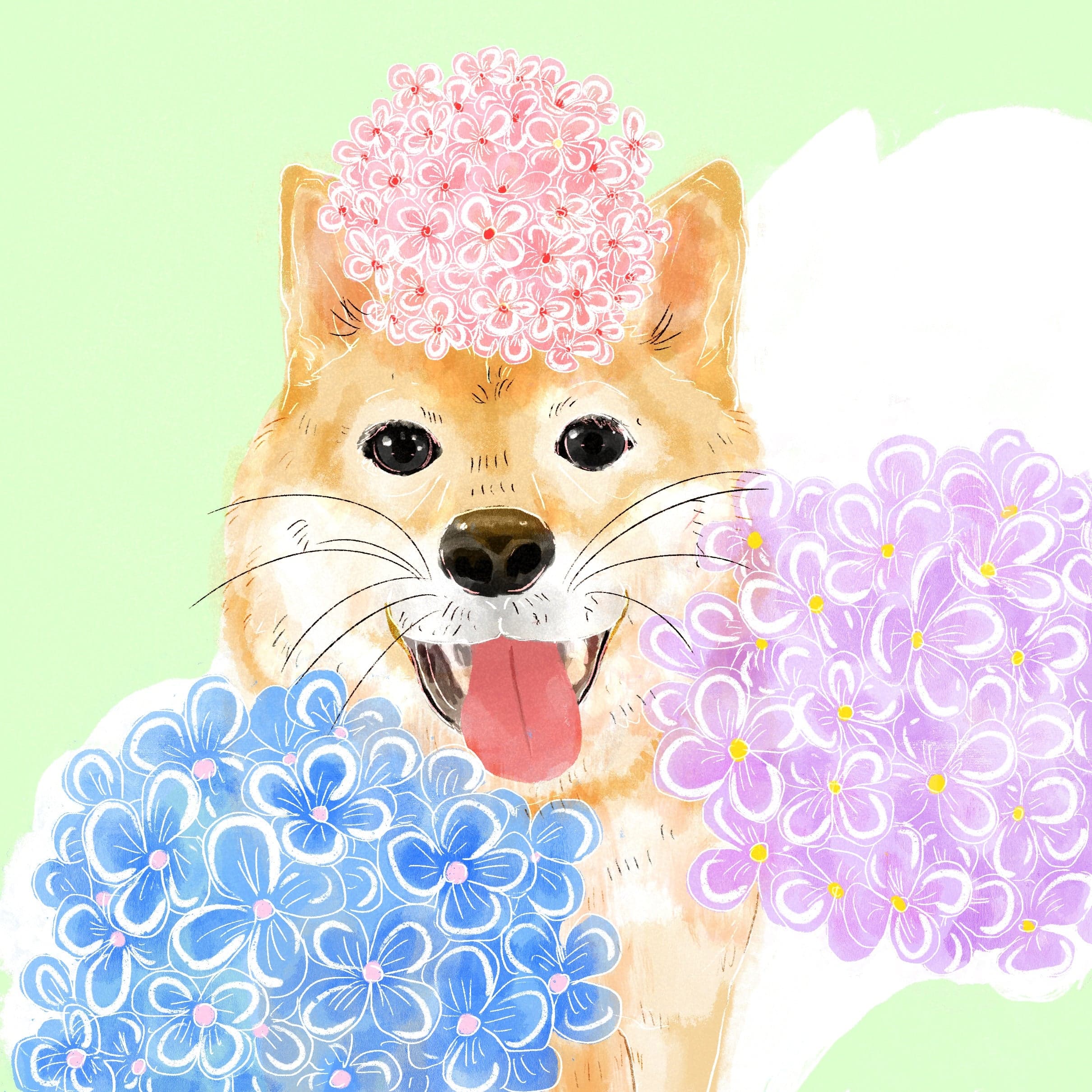 Gesha - Washed 910 NWS - Finca Nuguo