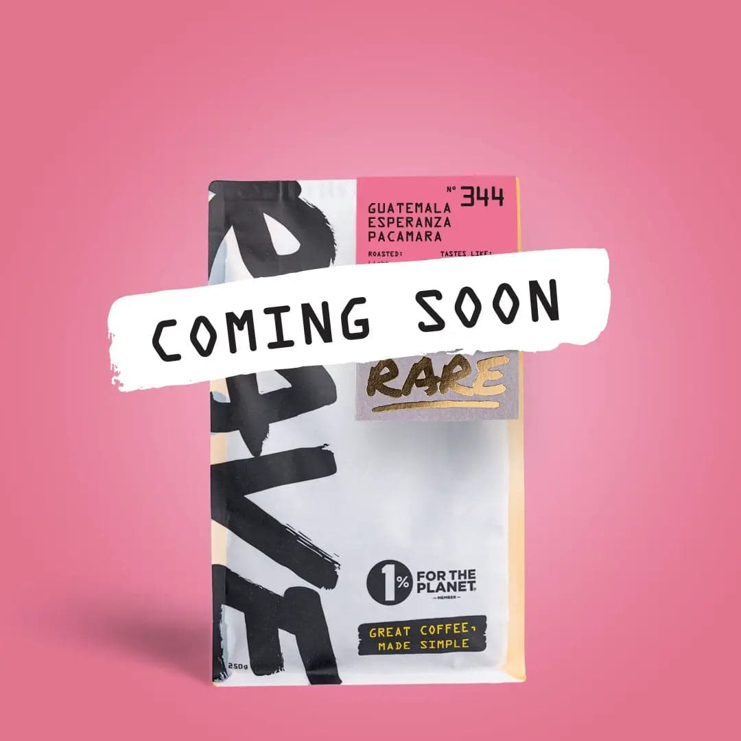 Guatemala Esperanza Pacamara Nº 344