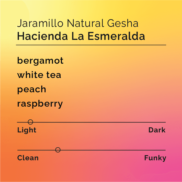 Hacienda La Esmeralda Jaramillo Natural Gesha