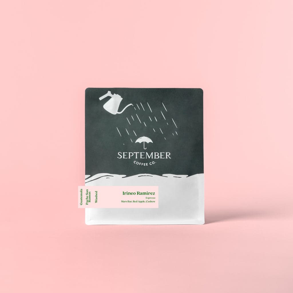 Irineo Ramirez - Guatemala Washed Pache San Ramon