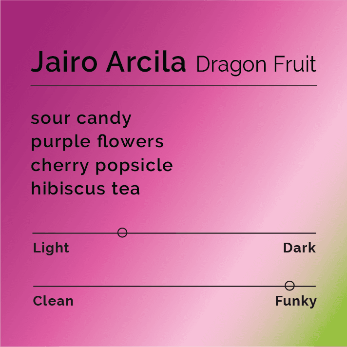 Jairo Arcila Dragonfruit