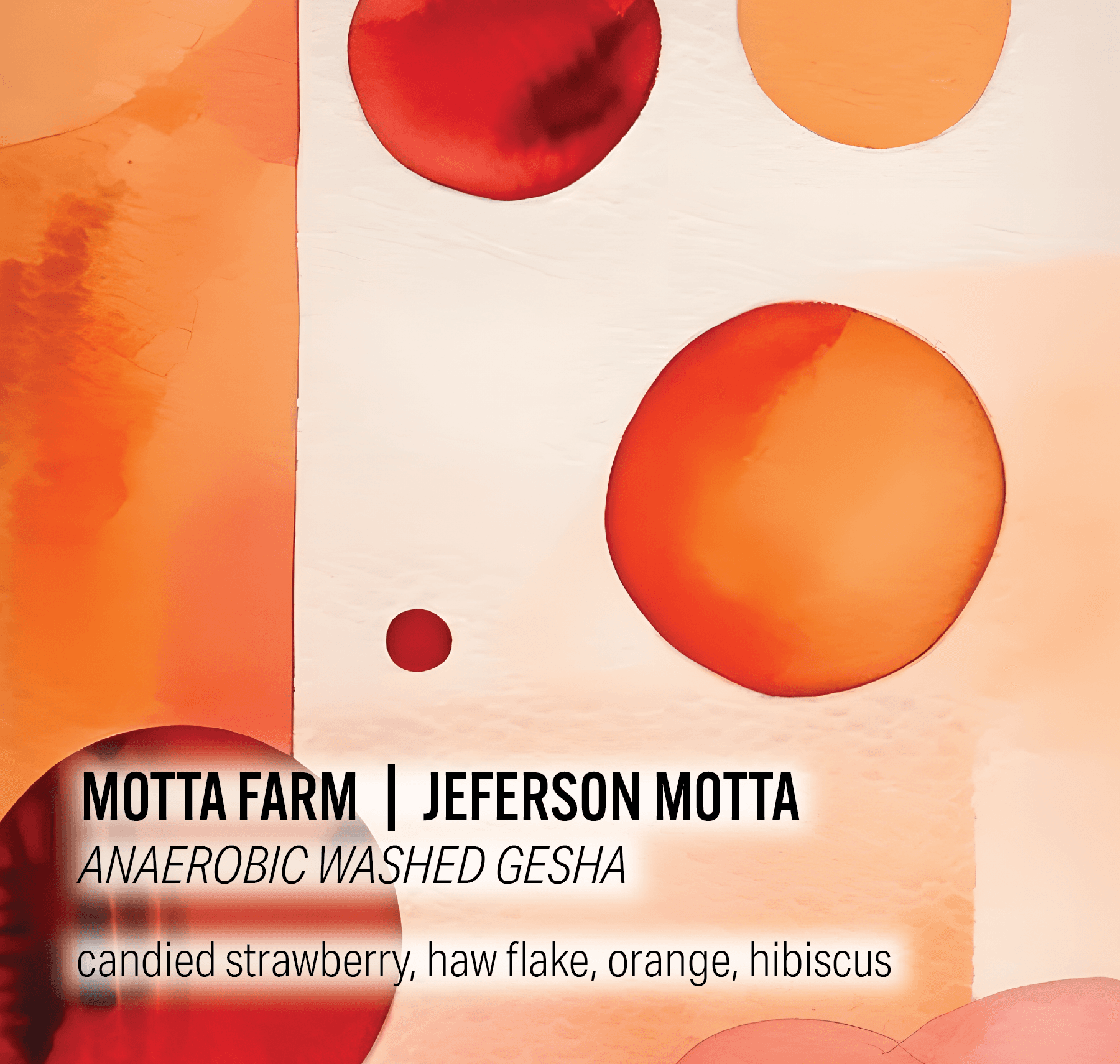 Jeferson Motta Motta Farm - Anaerobic Washed Gesha - Colombia