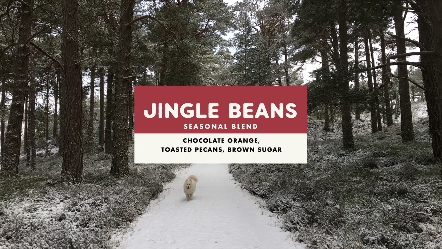 Jingle Beans Christmas Blend