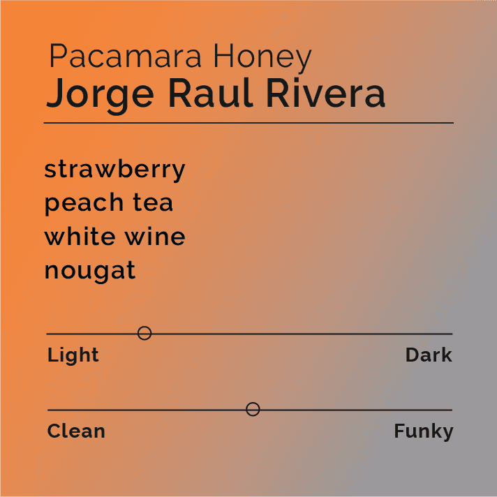 Jorge Raul Rivera Pacamara Honey