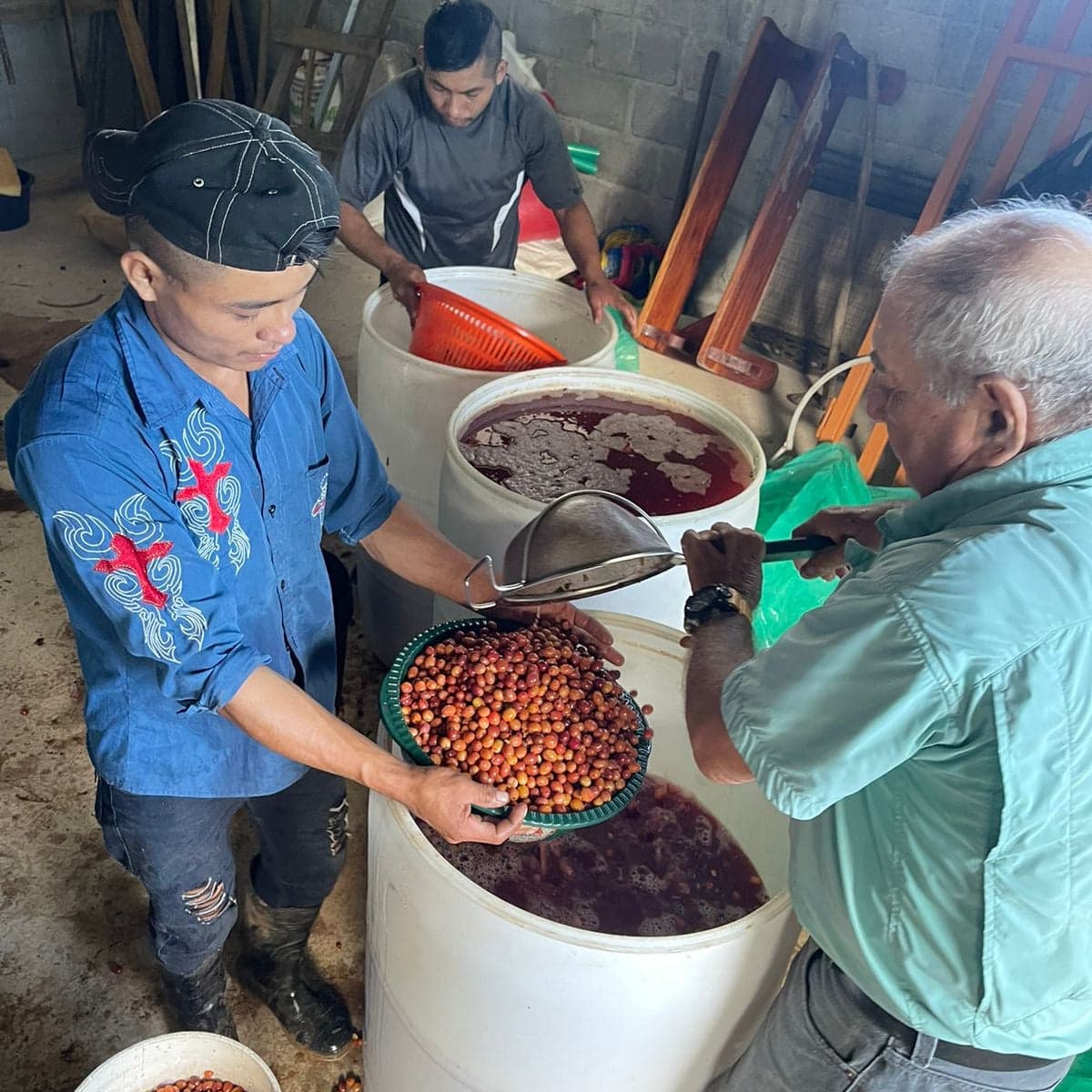 Katia Duke, Natural - Honduras