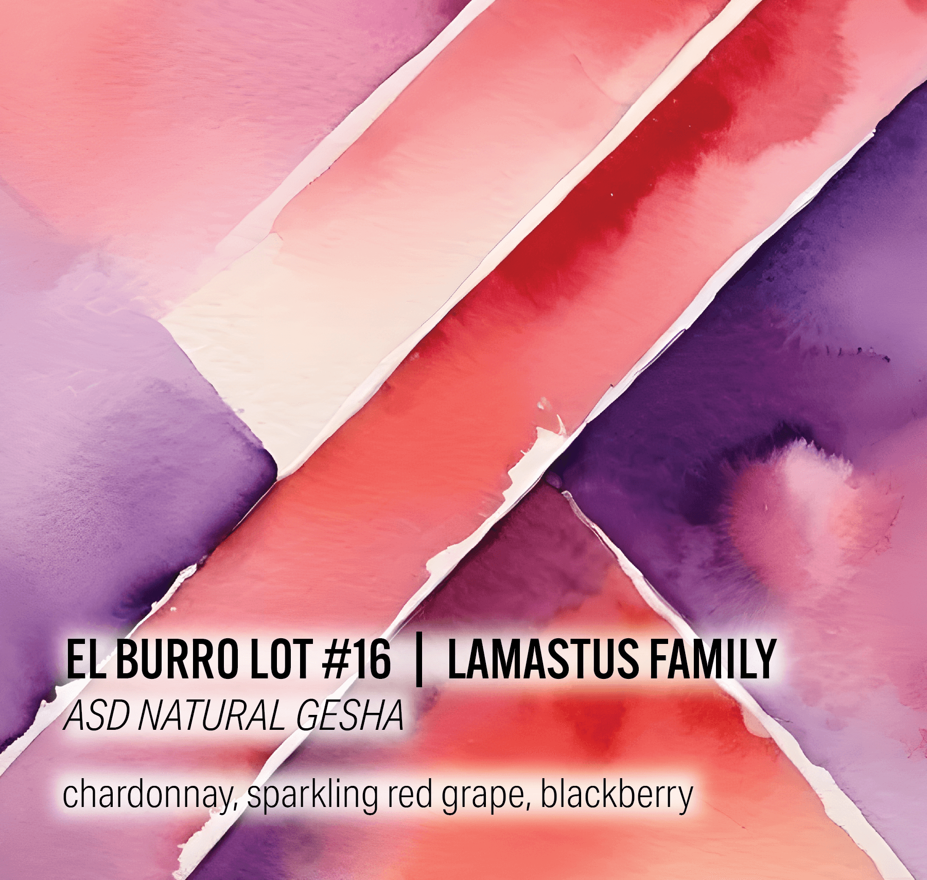 Lamastus Family El Burro Lot #16- ASD Natural Gesha - Panama