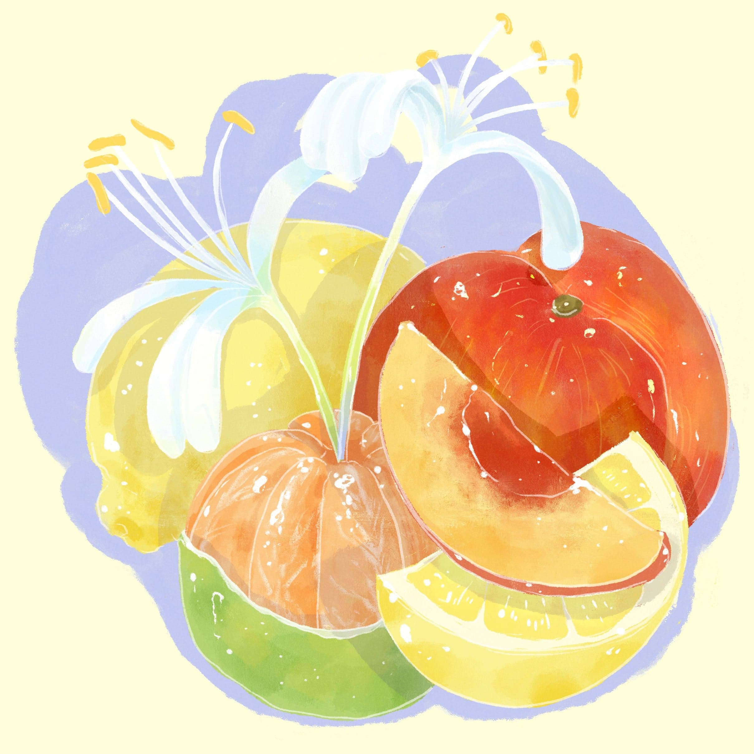 Landrace - Washed - Habtamu Fikadu Aga, Chelbesa Outgrowers