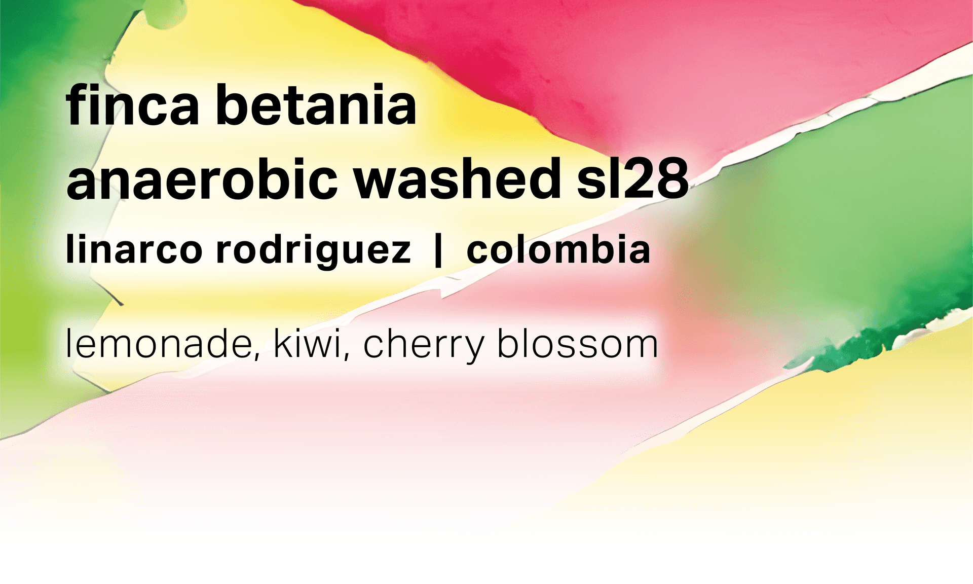 Linarco Rodriguez Finca Betania - Anaerobic Washed SL28 - Colombia