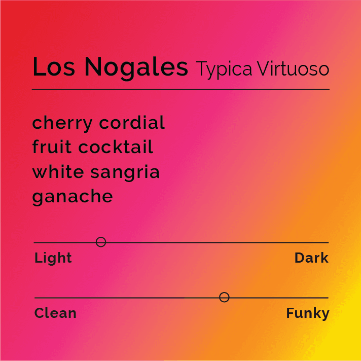 Los Nogales Typica Virtuoso