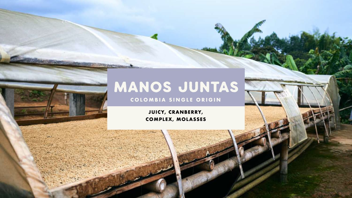Manos Juntas Natural Colombia Coffee