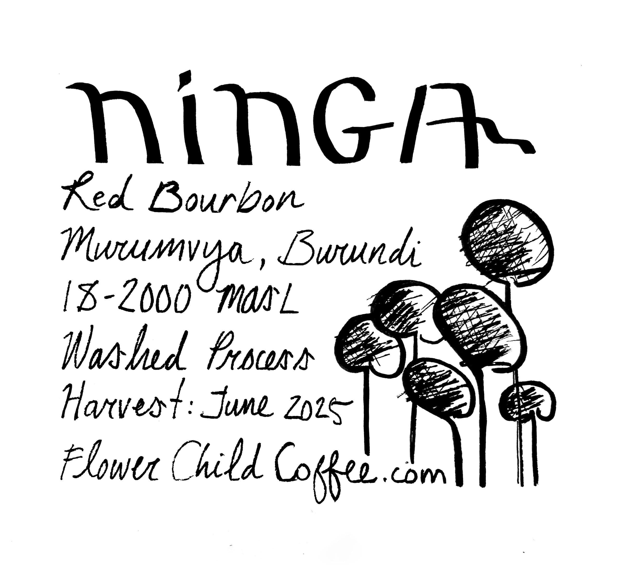 Ninga