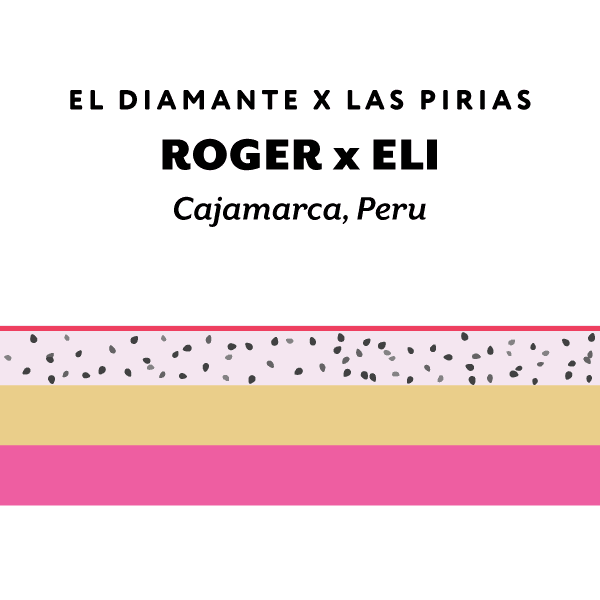 Peru Roger x Eli