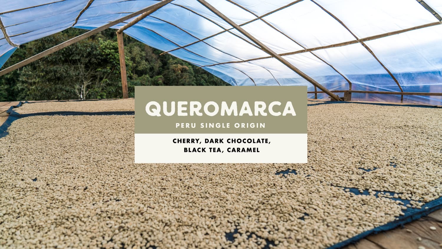 Queromarca Covoya Specialty Washed Single Origin Peruvian Coffee