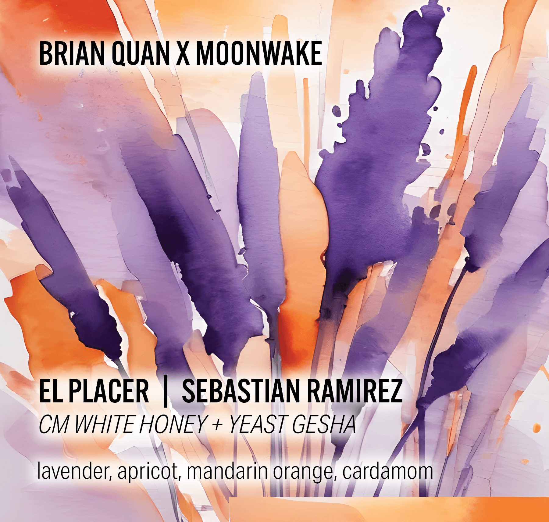 Sebastian Ramirez El Placer - CM White Honey + Yeast Gesha - Colombia - Brian Quan Collab