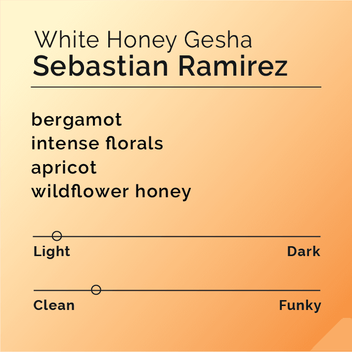 Sebastian Ramirez White Honey Gesha