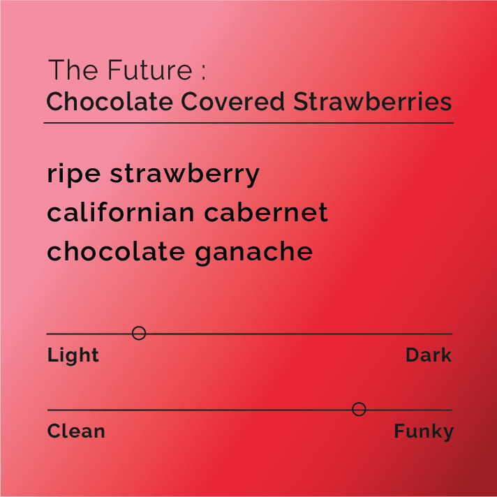 The Future Chocolate Covered Strawberries
