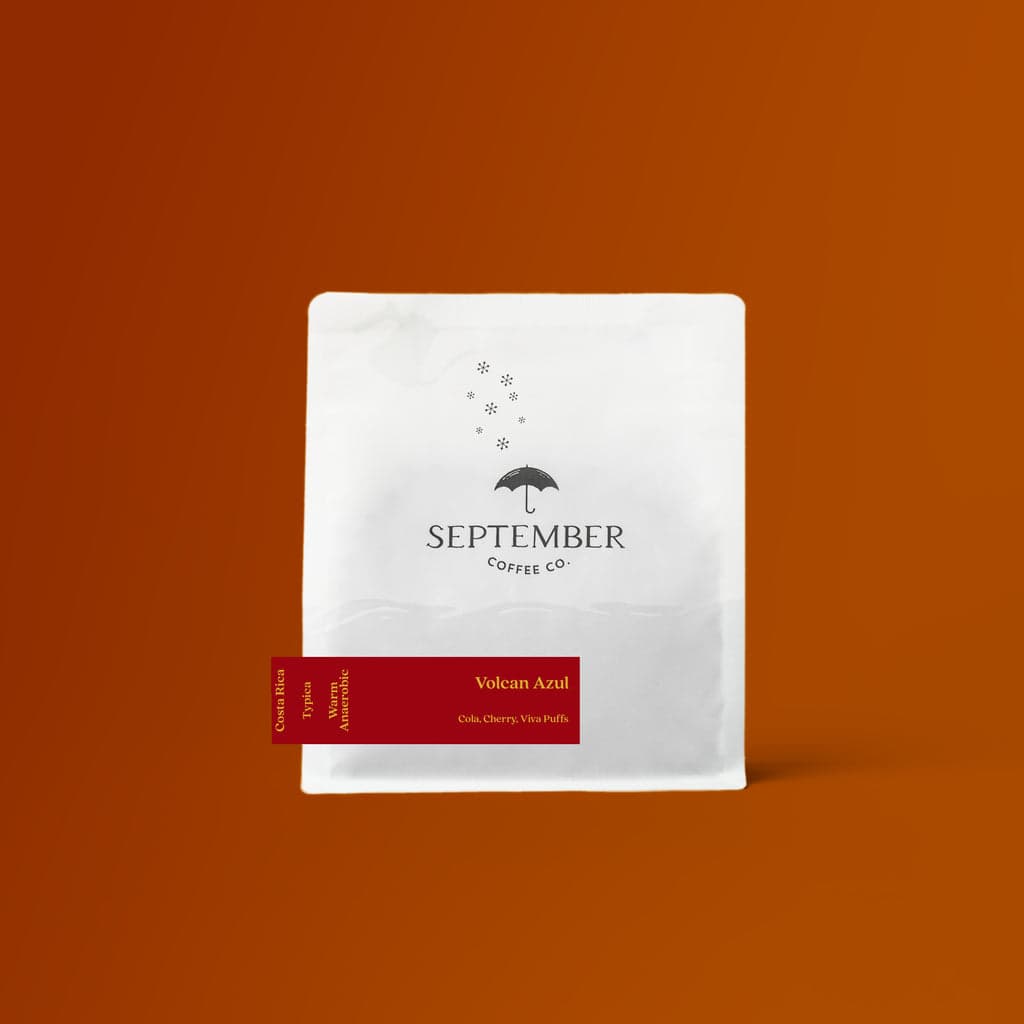 Volcan Azul - Typica Warm Anaerobic 2025