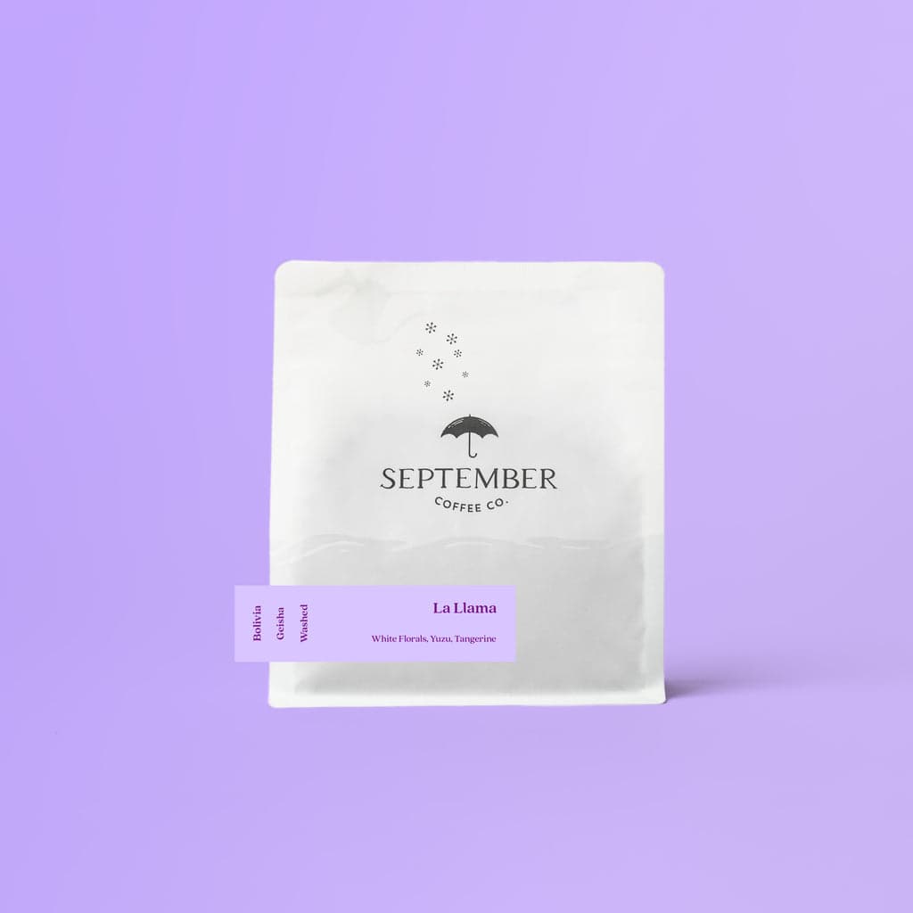 Finca La Llama - Bolivia Geisha (Extra-Light)